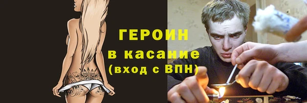 гашик Алексин