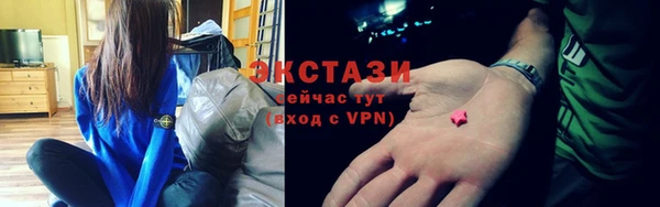 гашик Алексин