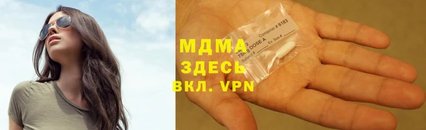 гашик Алексин