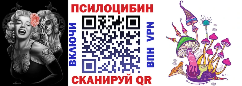 дарк нет какой сайт  Зверево  Галлюциногенные грибы Psilocybine cubensis 